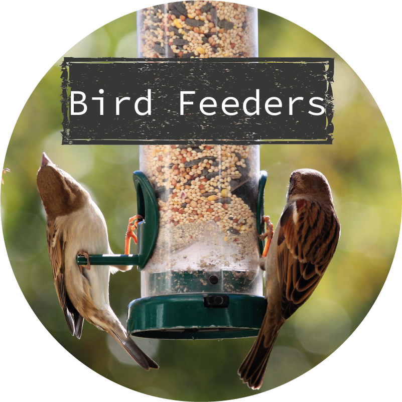 Bird Exe Valley Pet Foods Trade Site