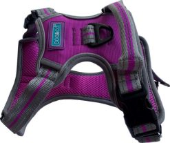 sports harness small purple