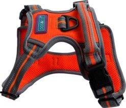 sports harness small orange