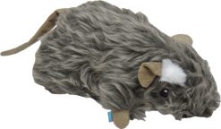 Rat Small