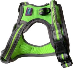 H&B sports harness large Lime
