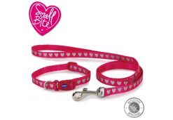 Small Bite Reflective Collar Lead Set Heart