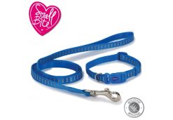 Small Bite Reflective Bone Collar Lead Set Blue