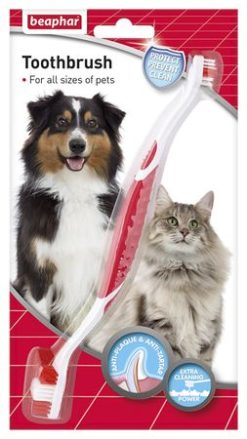Toothbrush (for all sizes of dogs & cats) 1