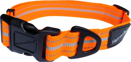 H&B sports collar adj medium orange