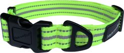 H&B sports collar adj medium lime