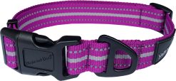 sports collar adj large purple