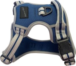 sports harness large blue