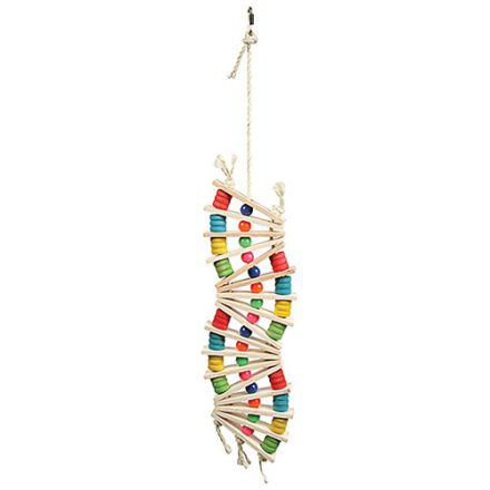 Rainbow Wave Bird Toy