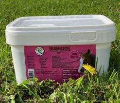 Hubblick Mint Horse Lick 10KG