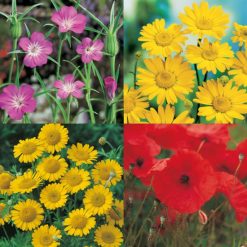 WILD FLOWER MIX CORNFIELD ANNUALS 80/20 SEEDS