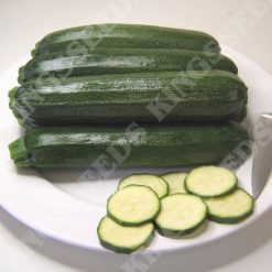COURGETTE DEFENDER F1 RHS AGM SEEDS