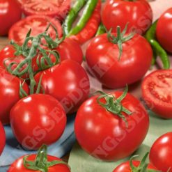 TOMATO ALICANTE RHS AGM SEEDS