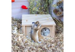 Small Animal Wooden Hide (Small - Flat Pack)