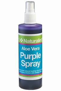 NATURALINTX  PURPLE SPRAY 240ML