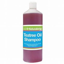 NATURALINTX TEATREE OIL SHAMPOO 1LT