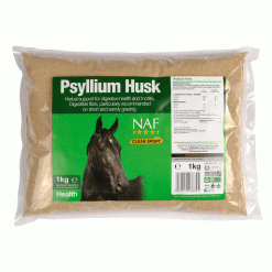 PSYLLIUM HUSK 1KG