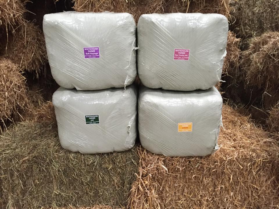 Whitehouse Farm Small Bale Soft Haylage