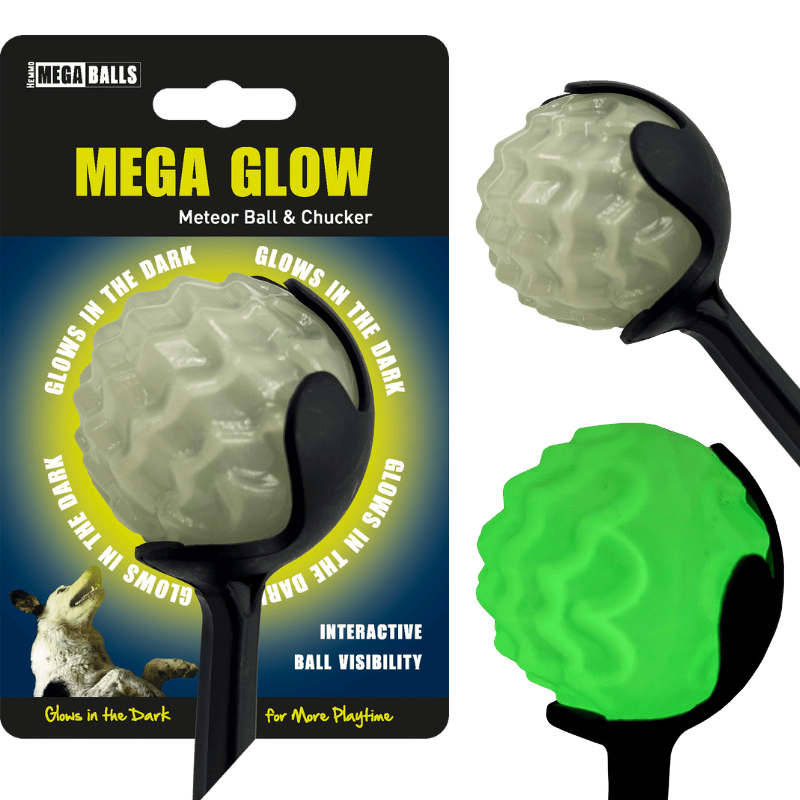 H&B Black Chucker Glow in the Dark Meteor Ball